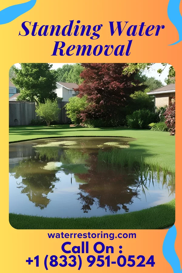 Standing Water Removal in Harlem, GA